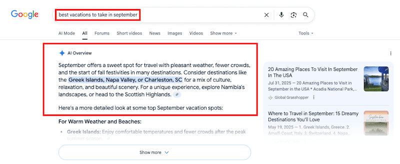 AI Overview on Google.