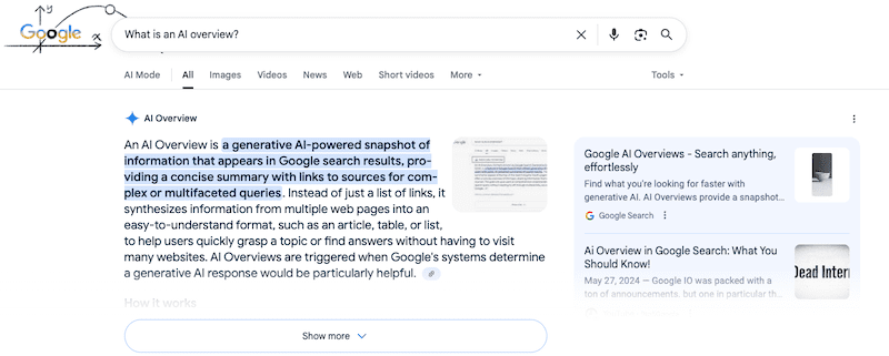 An AI Overview on Google.