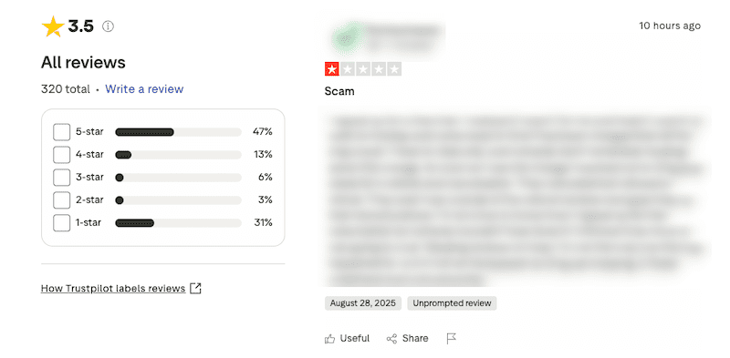 A negative review on Trustpilot.