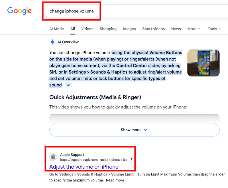 Google search results page to show how Google's algorithm considers meaning in search results.