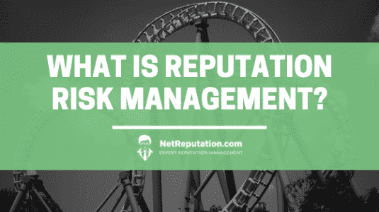 What is Reputation Risk Management - NetReputation