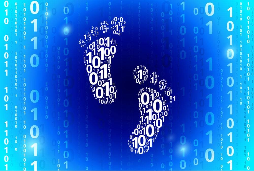 How To Define Digital Footprints In 2024 NetReputation