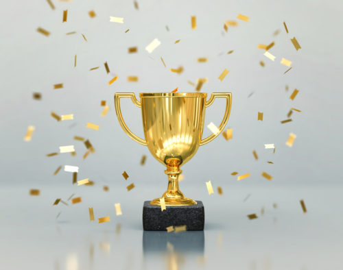 Celebrate! Clutch named NetReputation 2021's Top Marketing Agency in Florida!